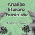 Copertă produs Analize literare feministe - gallery small 