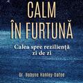 Copertă produs Calm &icirc;n furtună - gallery small 