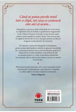 Copertă produs Aici și acum