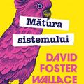 Copertă produs Mătura sistemului - gallery small 