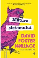 Copertă produs Mătura sistemului