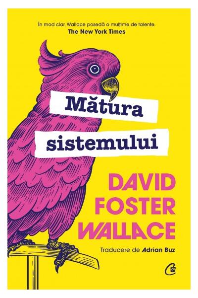 Mătura sistemului