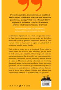 Copertă produs Compasiunea infinită
