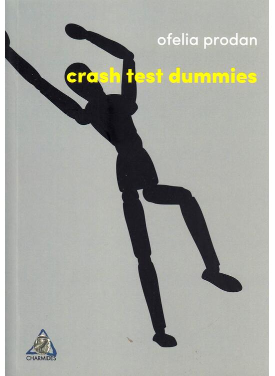 Copertă produs Crash test dummies - gallery big 1