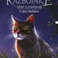 Copertă produs Pisicile războinice. Zorii clanurilor. Calea Stelelor (Vol. 30) - gallery small 