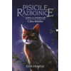Copertă produs Pisicile războinice. Zorii clanurilor. Calea Stelelor (Vol. 30)