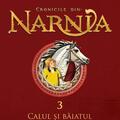 Copertă produs Calul și băiatul. Cronicile din Narnia (Vol. 3) - gallery small 