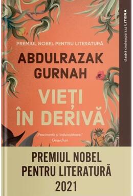 Copertă produs Vieți in derivă