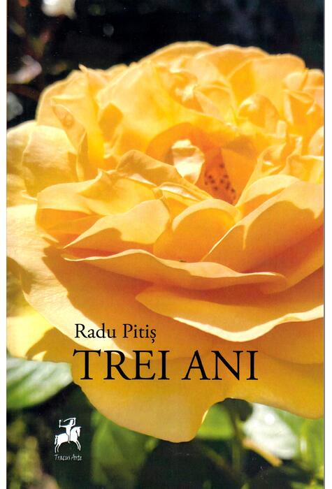 Copertă produs Trei ani