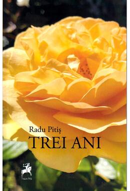 Copertă produs Trei ani