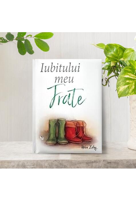 Copertă produs Iubitului meu frate