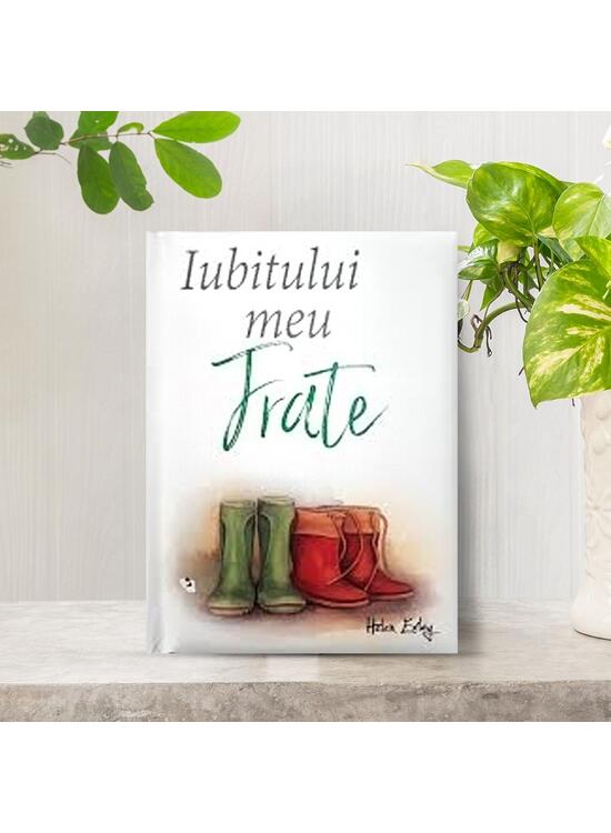Copertă produs Iubitului meu frate - gallery big 1