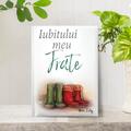 Copertă produs Iubitului meu frate - gallery small 