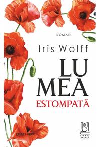 Copertă produs Lumea estompată