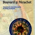 Copertă produs Bouvard si P&eacute;cuchet - gallery small 