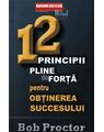 Copertă produs 12 principii pline de forță pentru obținerea succesului - thumb 1