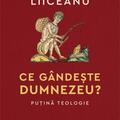Copertă produs Ce g&acirc;ndește Dumnezeu? - gallery small 