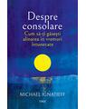 Copertă produs Despre consolare - thumb 1