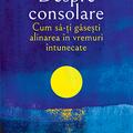 Copertă produs Despre consolare - gallery small 