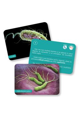 Copertă produs Bacterii și virusuri