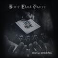 Copertă produs Poet fără carte - gallery small 