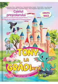 Copertă produs Tony la grădiniță | Grupa mică
