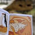 Copertă produs Creaturile păm&acirc;ntului - gallery small 