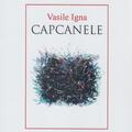 Copertă produs Capcanele - gallery small 