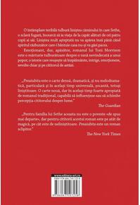 Copertă produs Preaiubita