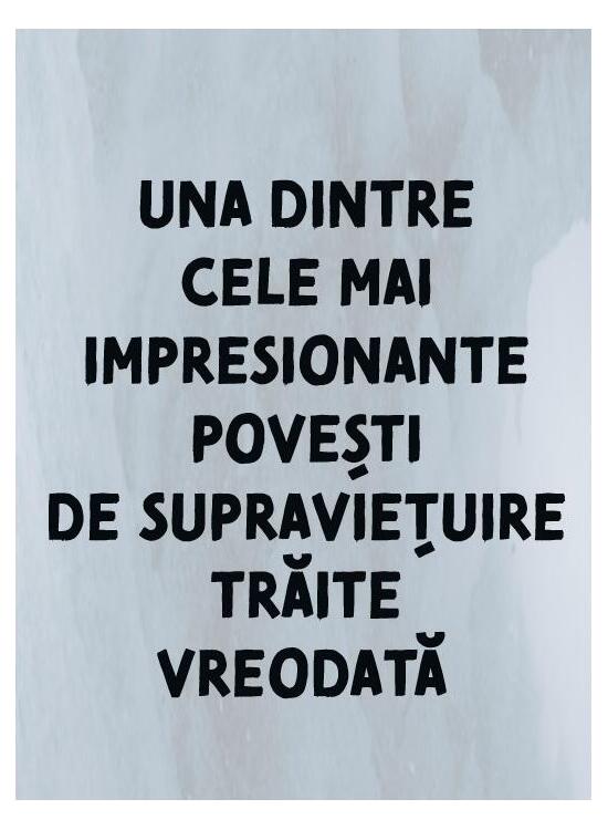 Copertă produs Singur în ținutul ghețurilor - gallery big 3