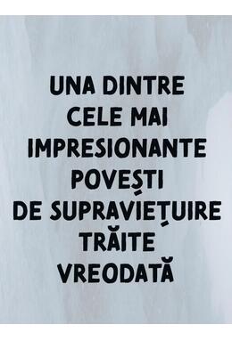 Copertă produs Singur în ținutul ghețurilor