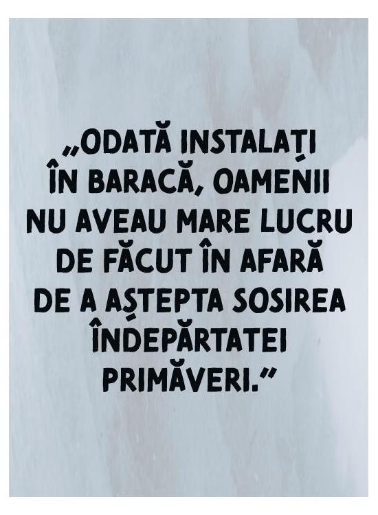Copertă produs Singur în ținutul ghețurilor - gallery big 4