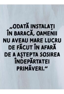 Copertă produs Singur în ținutul ghețurilor