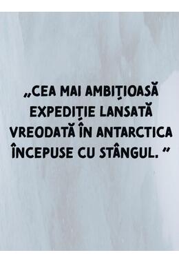 Copertă produs Singur în ținutul ghețurilor