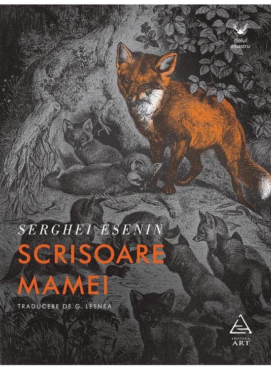 Copertă produs Scrisoare mamei - gallery big 1