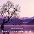 Copertă produs Chemarea muntelui sf&acirc;nt - gallery small 
