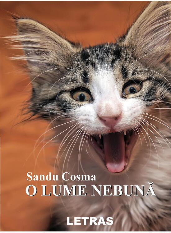 Copertă produs O lume nebună - gallery big 1