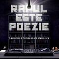Copertă produs Rapul este poezie - gallery small 