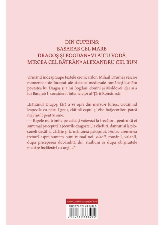 Copertă produs Povestea neamului românesc (Vol. 2) - gallery big 2