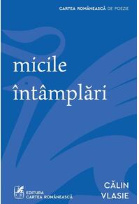 Copertă produs Micile întâmplări