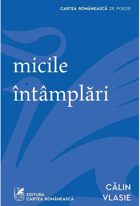 Copertă produs Micile &icirc;nt&acirc;mplări