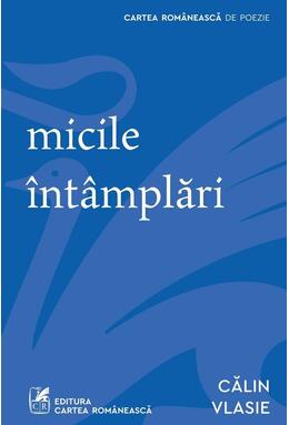 Copertă produs Micile &icirc;nt&acirc;mplări