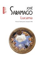 Imagine produs Lucarna