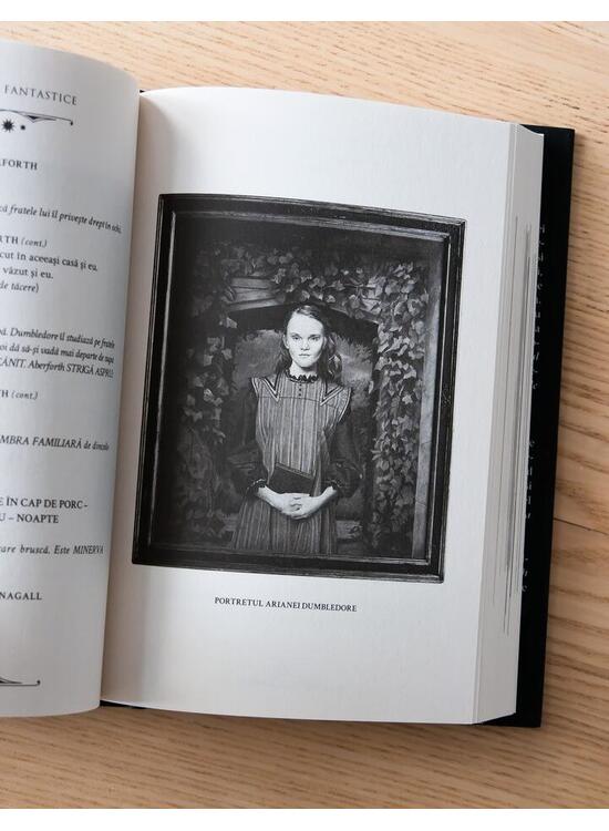 Copertă produs Secretele lui Dumbledore (Vol. 3) - gallery big 3
