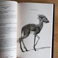 Copertă produs Secretele lui Dumbledore (Vol. 3) - gallery small 