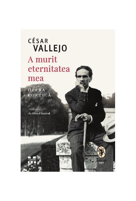 Copertă produs A murit eternitatea mea