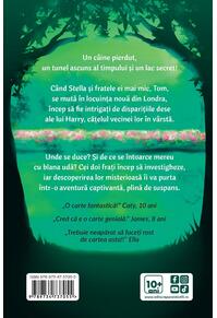 Copertă produs Lacul secret