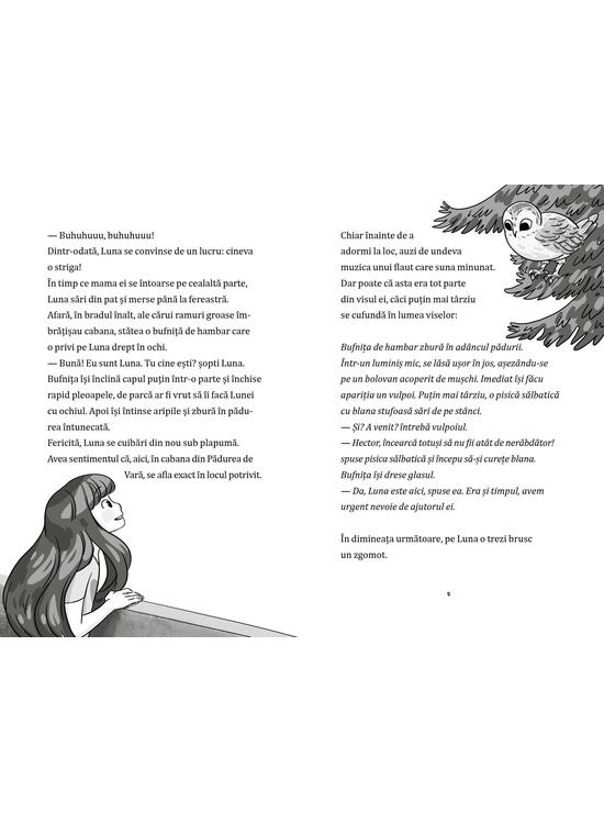 Copertă produs Bufnița cu o cheie în cioc (Vol. 1) - gallery big 3