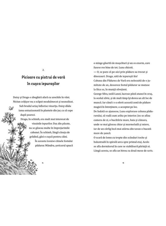 Copertă produs Bufnița cu o cheie în cioc (Vol. 1) - gallery big 4