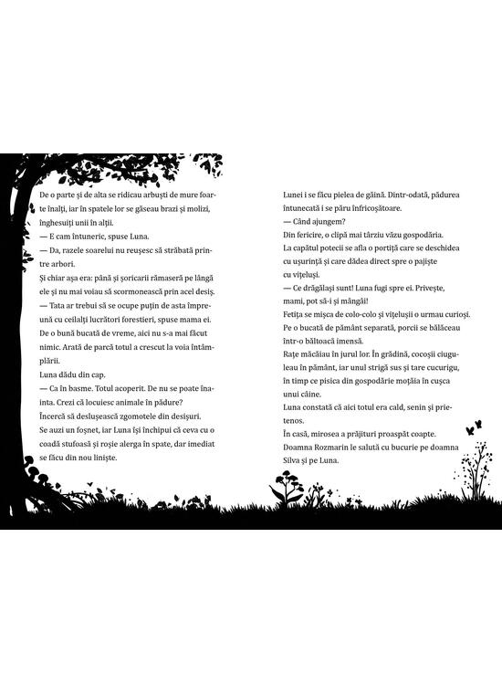 Copertă produs Bufnița cu o cheie în cioc (Vol. 1) - gallery big 5